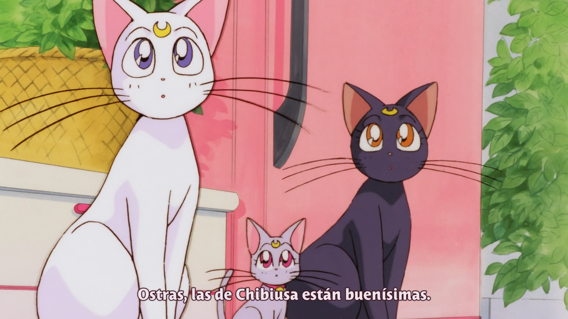 Bishoujo Senshi Sailor Moon SuperS: Sailor 9 Senshi Shuuketsu! Black Dream Hole no Kiseki (Majo no Kuni)